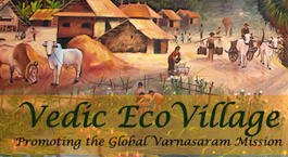 Vedic Eco Village